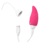 IJOY WIRELESS REMOTE  VIBRATING LOVE EGG