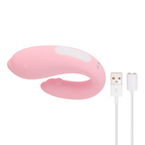 WINTER REMOTE CONTROL