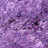 GLITTER FLAKES MORADO