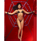 AMARRE TELARAÑA DOMINUS