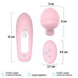 WINTER REMOTE CONTROL