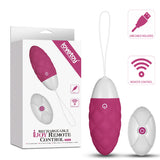 IJOY WIRELESS REMOTE CONTROL EGG