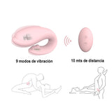 WINTER REMOTE CONTROL