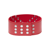 COLLAR DOMINACIÓN PASSION